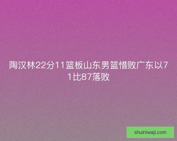 陶汉林22分11篮板山东男篮惜败广东以71比87落败